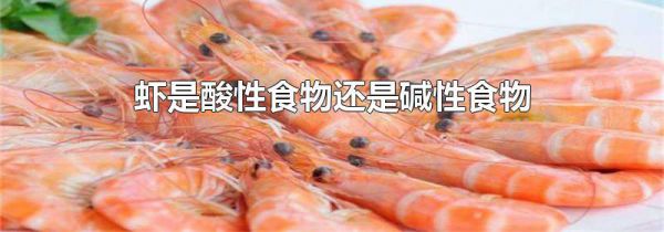 虾是酸性食物还是碱性食物
