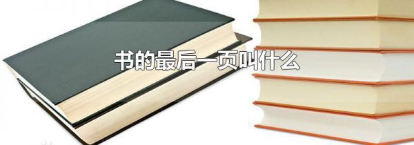 书的最后一页叫什么