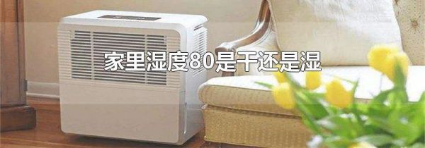 家里湿度80是干还是湿