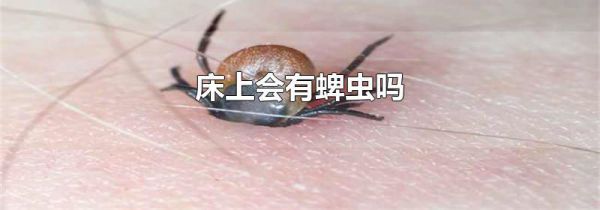 床上会有蜱虫吗