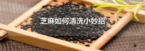 芝麻如何清洗小妙招