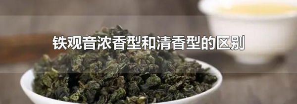 铁观音浓香型和清香型的区别