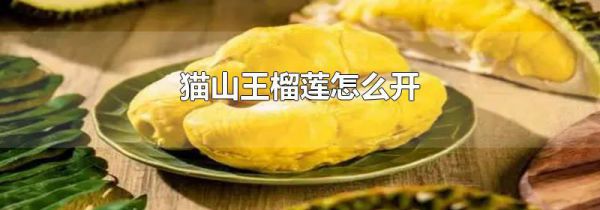 猫山王榴莲怎么开