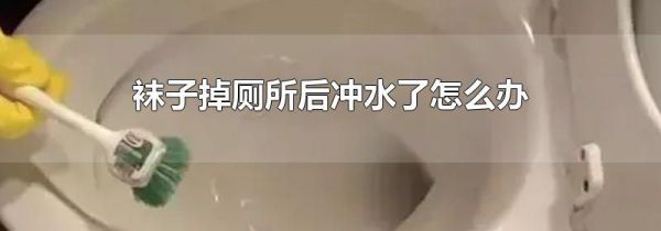 袜子掉厕所后冲水了怎么办