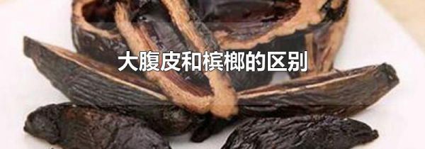 大腹皮和槟榔的区别