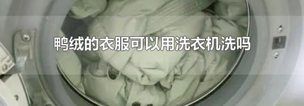 鸭绒的衣服可以用洗衣机洗吗