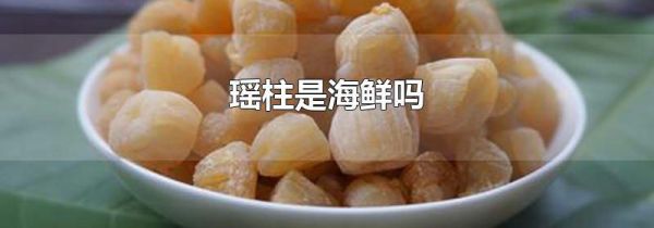 瑶柱是海鲜吗