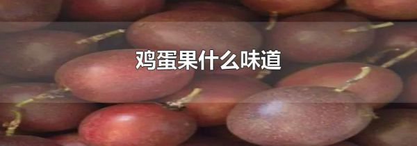 鸡蛋果什么味道