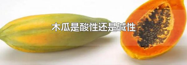 木瓜是酸性还是碱性