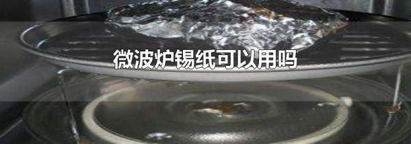 微波炉锡纸可以用吗