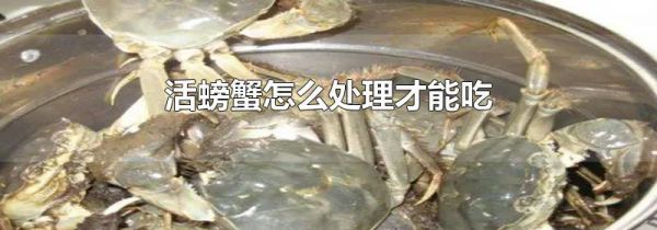活螃蟹怎么处理才能吃