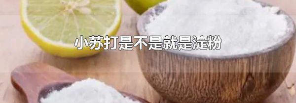 小苏打是不是就是淀粉