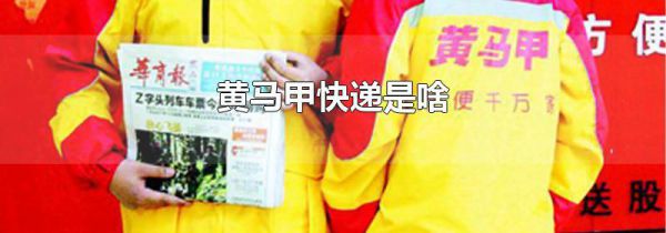黄马甲快递是啥