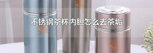 不锈钢茶杯内胆怎么去茶垢