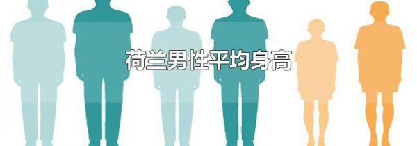荷兰男性平均身高