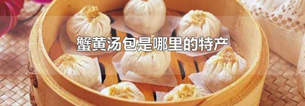 蟹黄汤包是哪里的特产