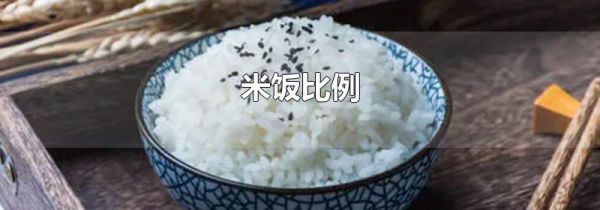 米饭比例