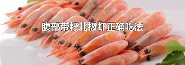 腹部带籽北极虾正确吃法