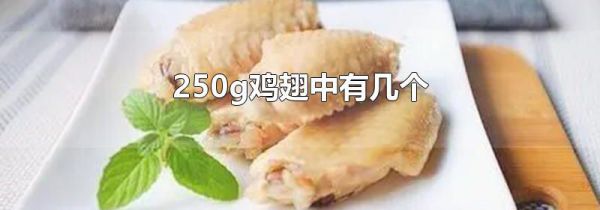 250g鸡翅中有几个