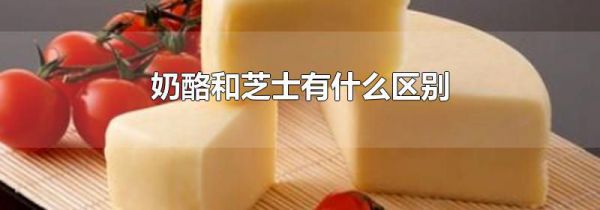奶酪和芝士有什么区别