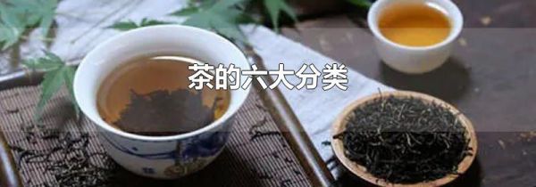 茶的六大分类