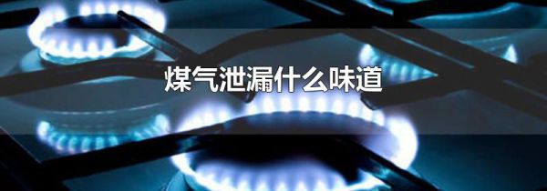 煤气泄漏什么味道