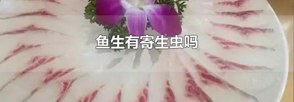 鱼生有寄生虫吗