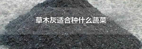 草木灰适合种什么蔬菜