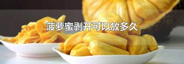 菠萝蜜剥开可以放多久