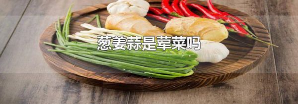 葱姜蒜是荤菜吗
