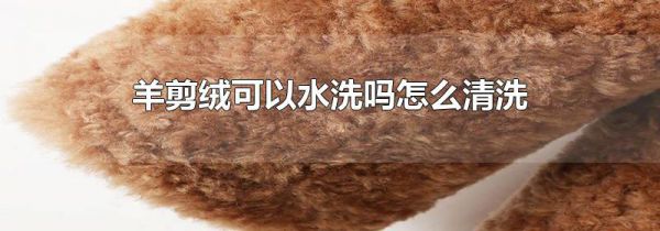 羊剪绒可以水洗吗怎么清洗