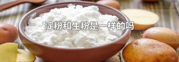 淀粉和生粉是一样的吗