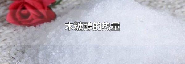 木糖醇的热量