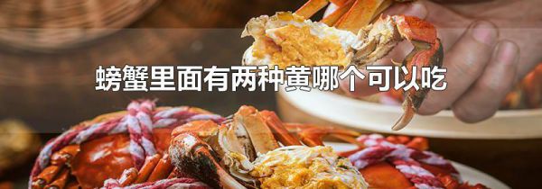 螃蟹里面有两种黄哪个可以吃