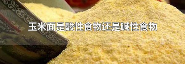 玉米面是酸性食物还是碱性食物