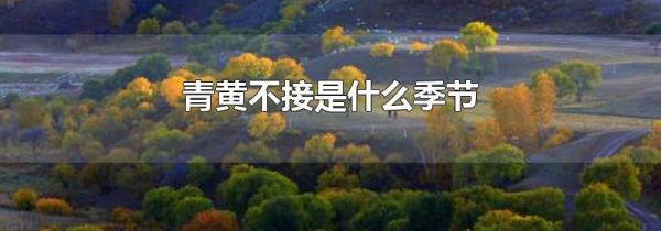 青黄不接是什么季节