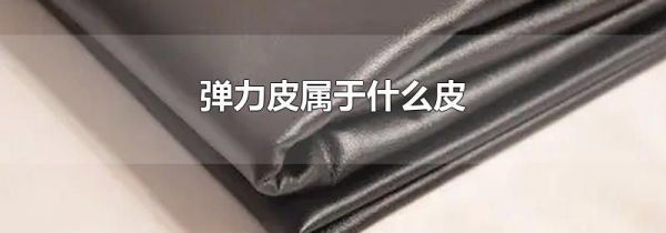 弹力皮属于什么皮