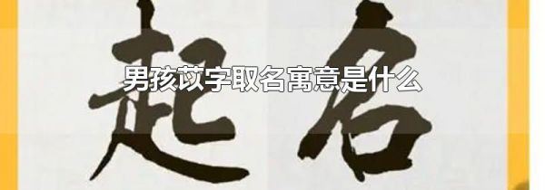 男孩苡字取名寓意是什么