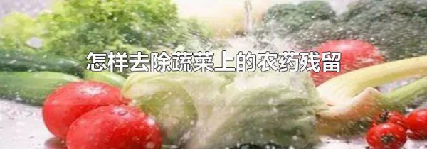 怎样去除蔬菜上的农药残留