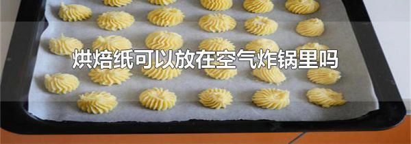 烘焙纸可以放在空气炸锅里吗