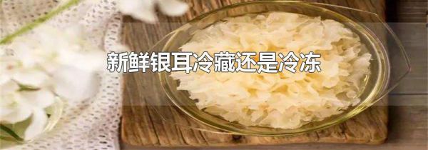 新鲜银耳冷藏还是冷冻