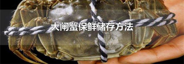 大闸蟹保鲜储存方法