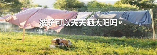 被子可以天天晒太阳吗