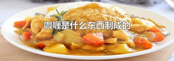 咖喱是什么东西制成的