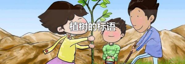 植树的标语