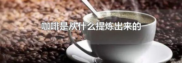 咖啡是从什么提炼出来的