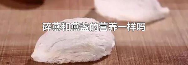 碎燕和燕盏的营养一样吗