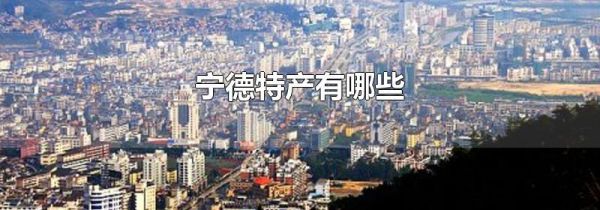 宁德特产有哪些