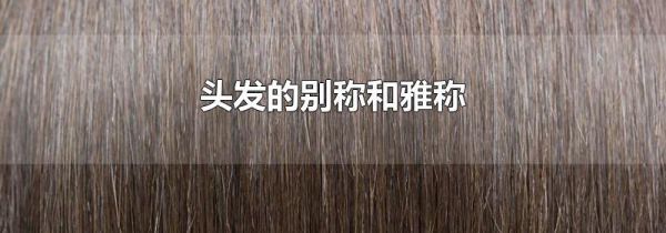 头发的别称和雅称