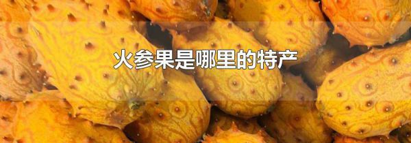 火参果是哪里的特产